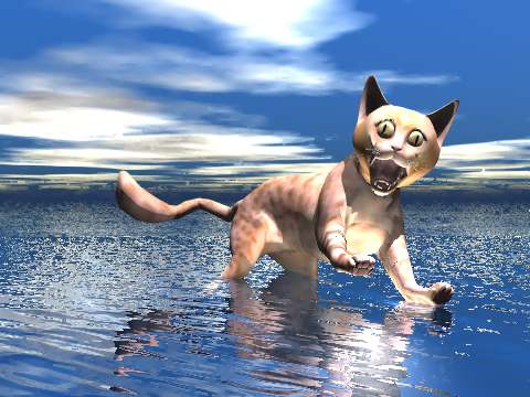cat!.jpg